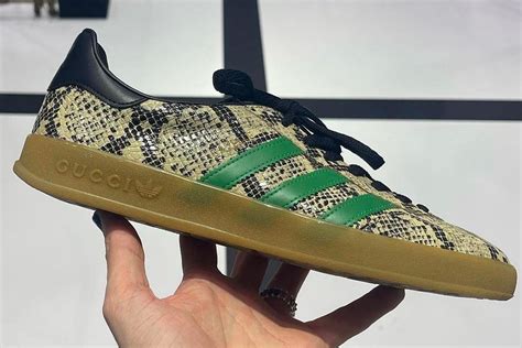 adidas gucci gazzele|Adidas x Gucci outlet.